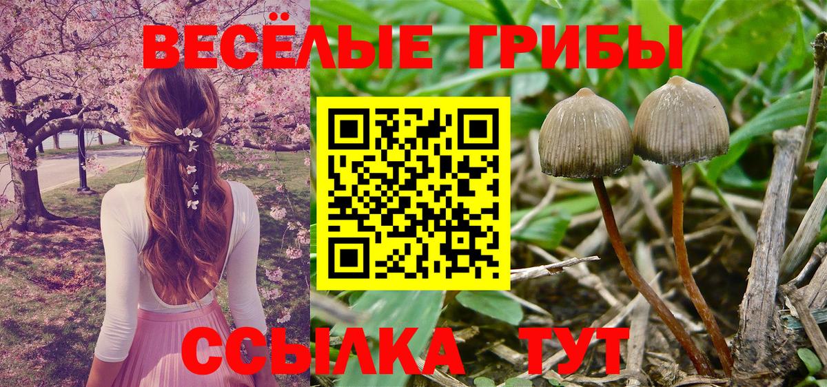 Торжок  Галлюциногенные грибы ЛСД  Галлюциногенные грибы Magic Shrooms  Вход с VPN 